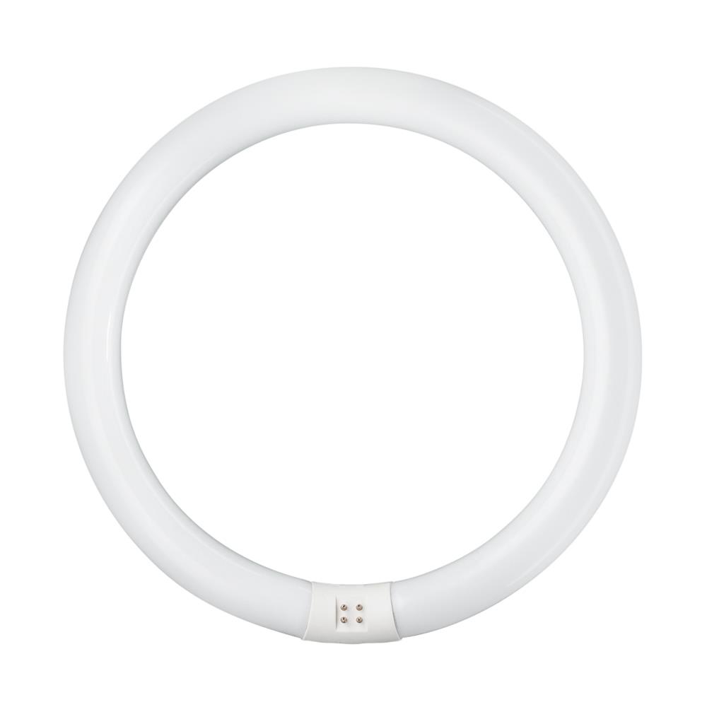 หลอดนีออนกลม PHILIPS TLE 32/54 สีขาว G10q