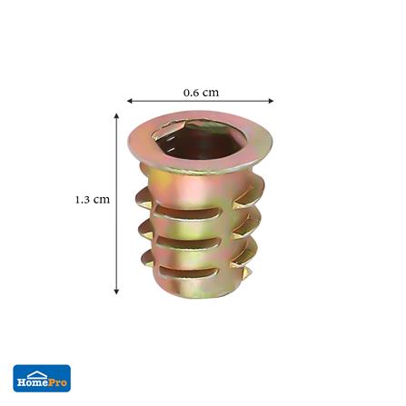 ตัวหนอนฝังไม้ FITT DN-613 แพ็ก 10 ชิ้น_2