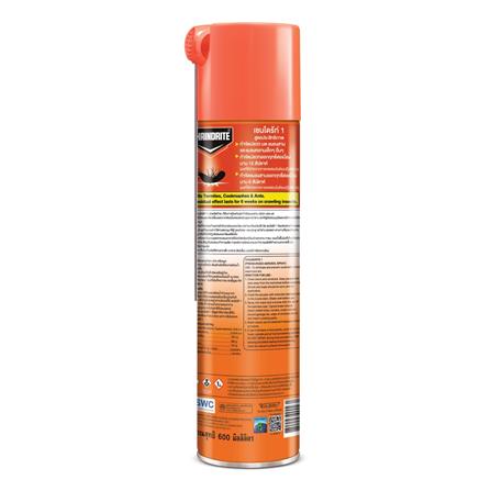 สเปรย์กำจัดปลวก CHAINDRITE 600 มล._3