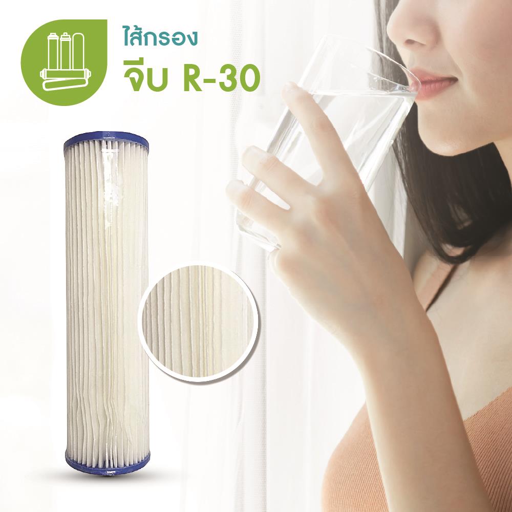 PLEATED FILTER MAZUMA-F R-30