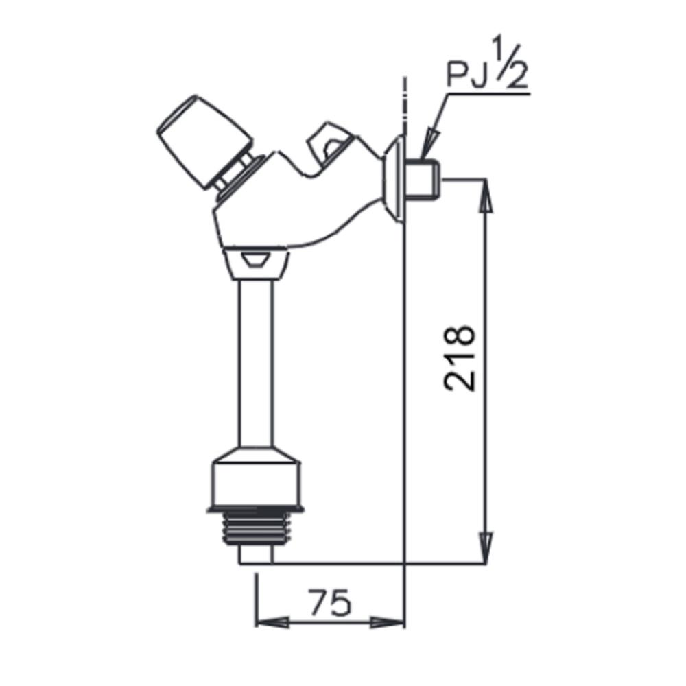 ฟลัชวาล์วโถชายท่อตรง COTTO CT474NP(HM) สีโครม