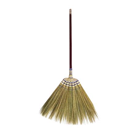 ไม้กวาดดอกหญ้าปลายฟ้า CIT_0