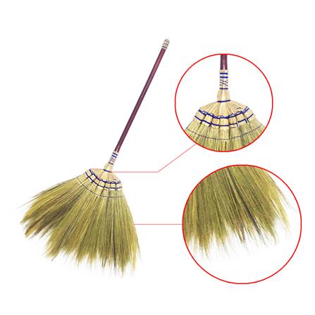 ไม้กวาดดอกหญ้าปลายฟ้า CIT_1