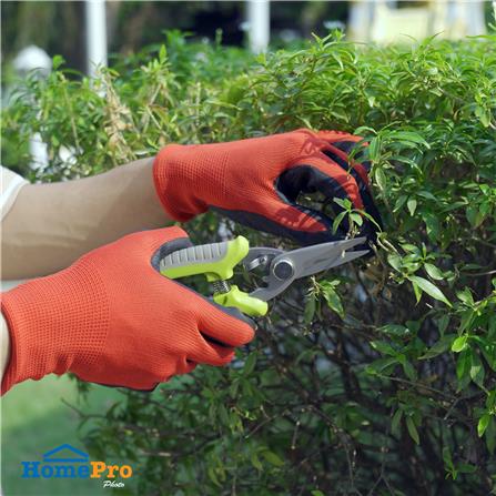 กรรไกรตัดกิ่งปากตรง SPRING DGH2510 7.2 นิ้ว_5