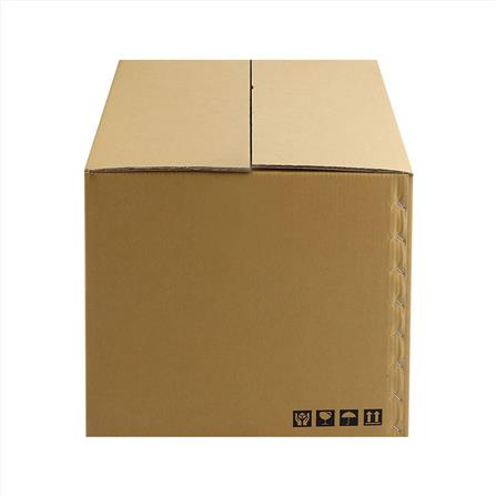 CARTON BOX PACK IN 45x55x40CM_3