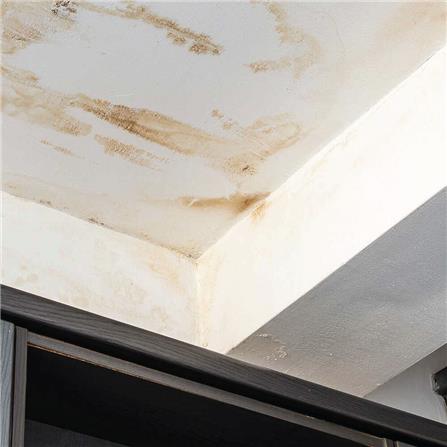 บริการสำรวจพื้นที่เพื่อทำฝ้า_0