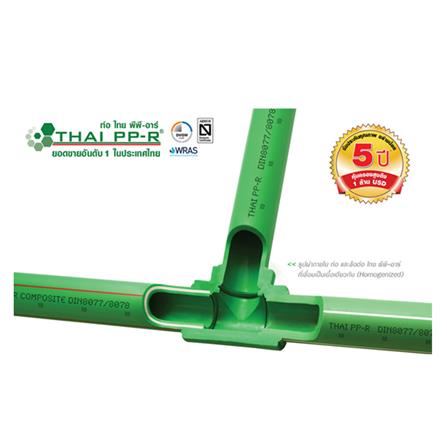 ข้องอเกลียวนอก 90 องศา THAI PP-R 1/2 นิ้ว_1