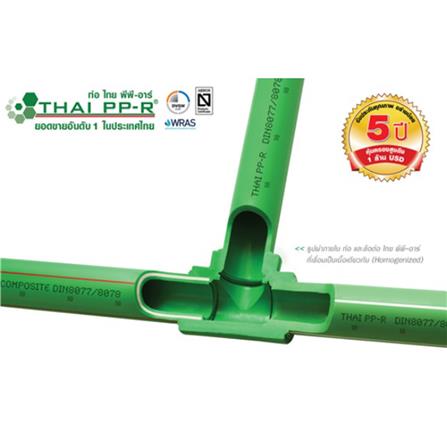 ข้องอเกลียวใน 90 องศา PP-R THAI PP-R 1 นิ้ว_2