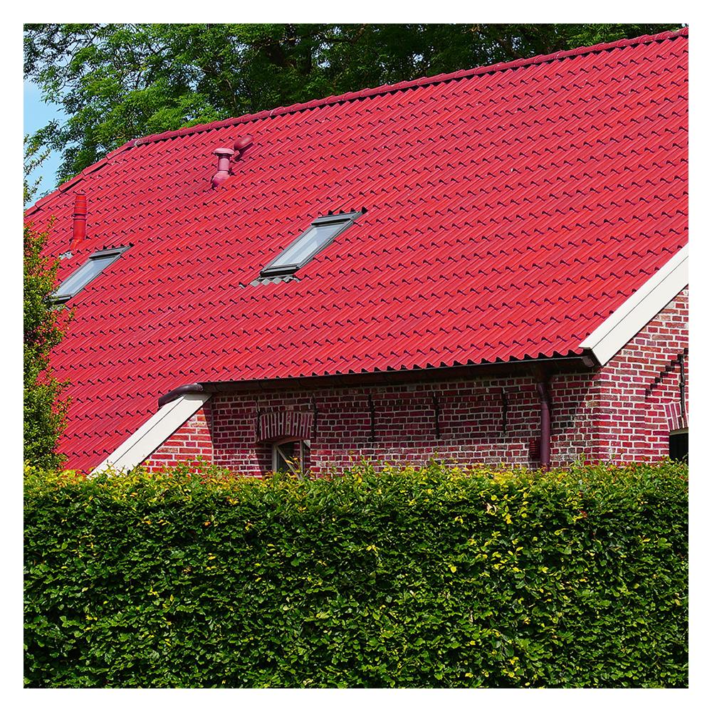 สีทาหลังคา RTB ROOF PAINT R521 สีแดง 1 แกลลอน