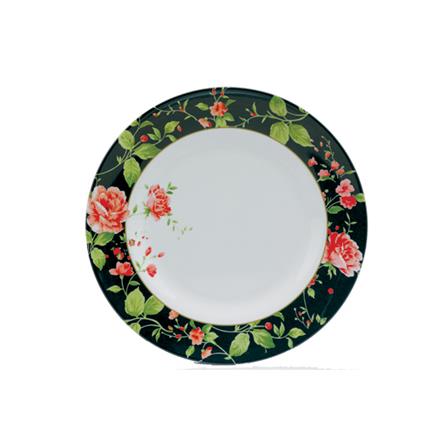 จานตื้น SUPERWARE BASIC 9 ตื้น_0