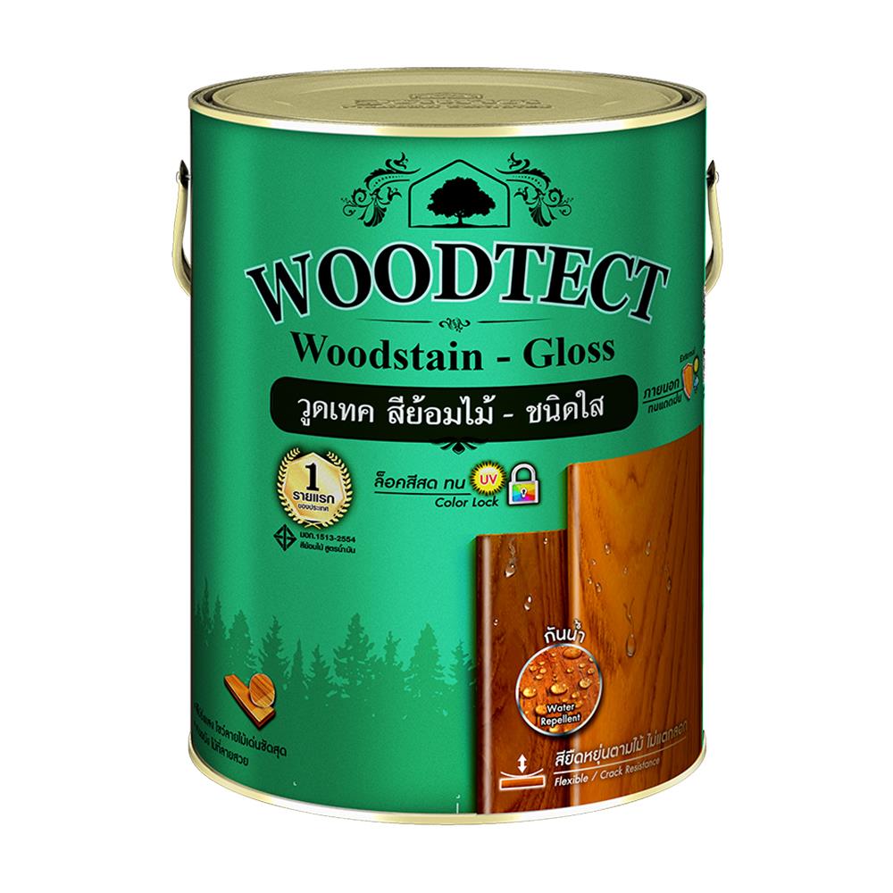 สีย้อมไม้ WOODTECT 301 สีใส เงา 1GL