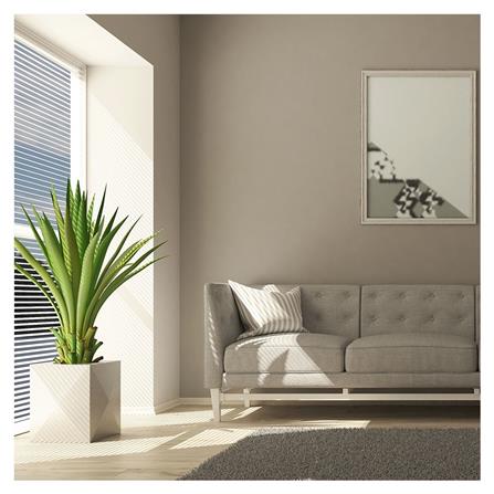 สีน้ำทาภายใน DELTA BASE C ด้าน 1 แกลลอน_1