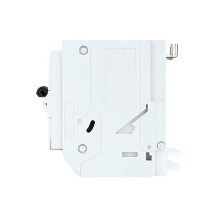 MAIN CIRCUIT BREAKER 40A 1-PHASE BTICINO  BTP2_1