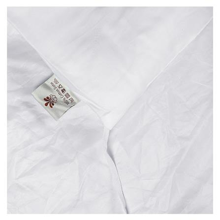 ไส้ผ้านวม PERICO MISCELLANEOUS PRO 100x90 นิ้ว_2