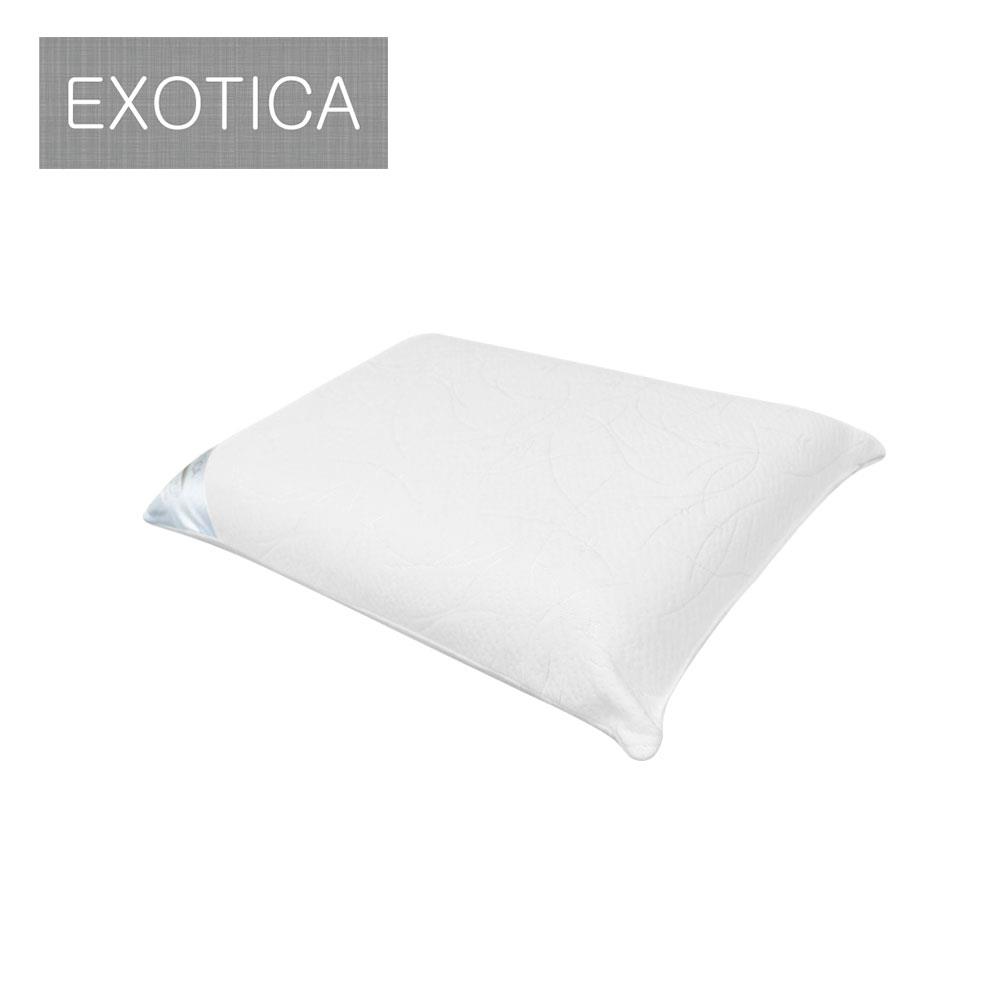 หมอนสุขภาพ ยางพารา EXOTICA PL1L-00XO 19x29 นิ้ว สีขาว