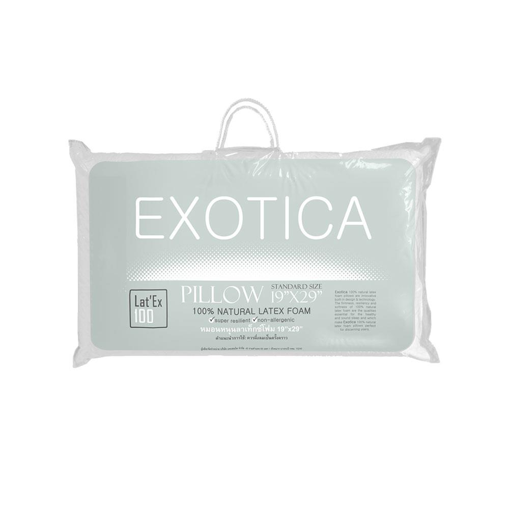 หมอนสุขภาพ ยางพารา EXOTICA PL1L-00XO 19x29 นิ้ว สีขาว