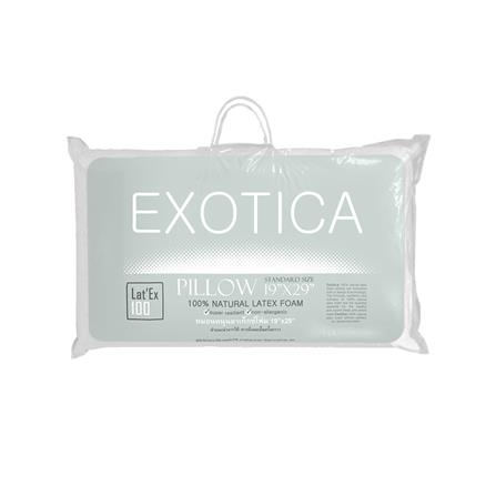 หมอนสุขภาพ ยางพารา EXOTICA PL1L-00XO 19x29 นิ้ว สีขาว_6