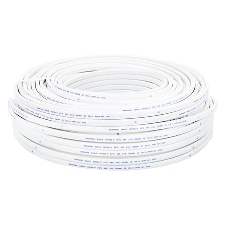 สายไฟ VAF BCC 2x6 ตร.มม. 100 ม. สีขาว_1