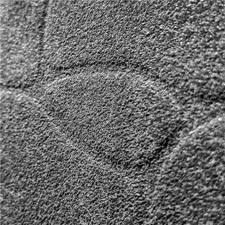 กระเบื้องพื้น 16x16 นิ้ว ARTE เฮฟวี่ ดำ A 0.96M2_1