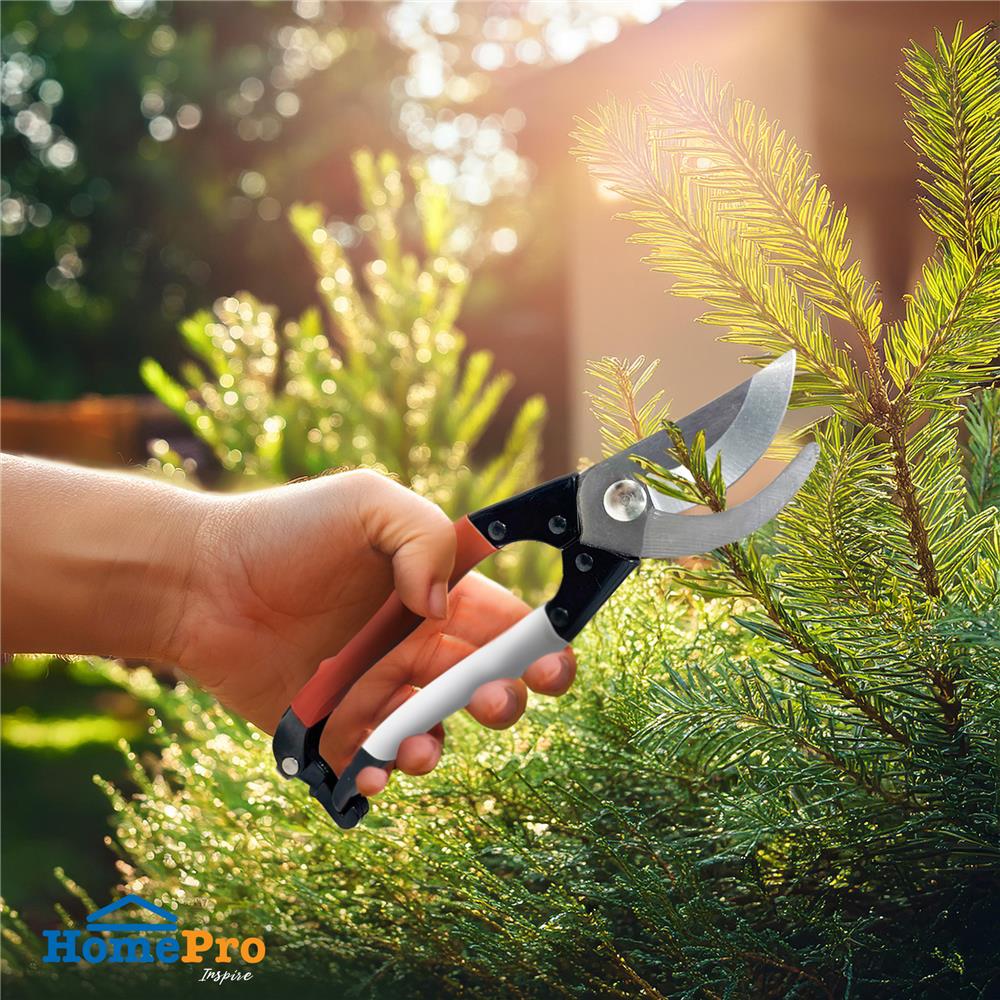 กรรไกรตัดกิ่งปากโค้ง ด้ามหุ้มยาง SPRING 8 นิ้ว สีขาว-ส้ม