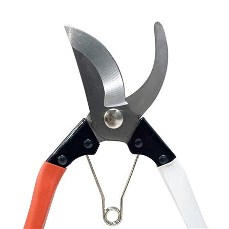 กรรไกรตัดกิ่งปากโค้ง ด้ามหุ้มยาง SPRING 8 นิ้ว สีขาว-ส้ม_2