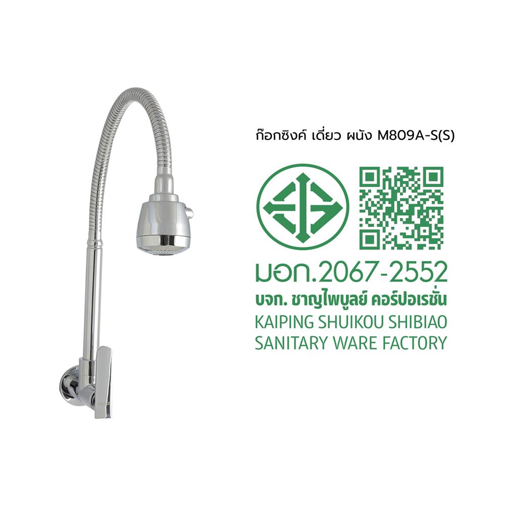 ก๊อกซิงค์เดี่ยวติดผนัง RASLAND M809A-S(S) สีโครม