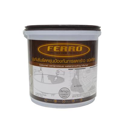 ซีเมนต์กันรั่วซึม FERRO FLEX-411 4.5 กก. สีเทา_0