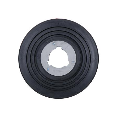 แปรงไนลอนแข็ง CHAMPION C042-0142 16 นิ้ว_1