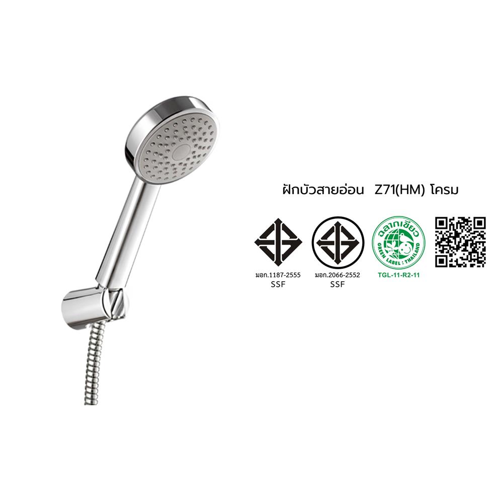 ชุดฝักบัวสายอ่อน 1 ระดับ COTTO Z71(HM) สีโครม