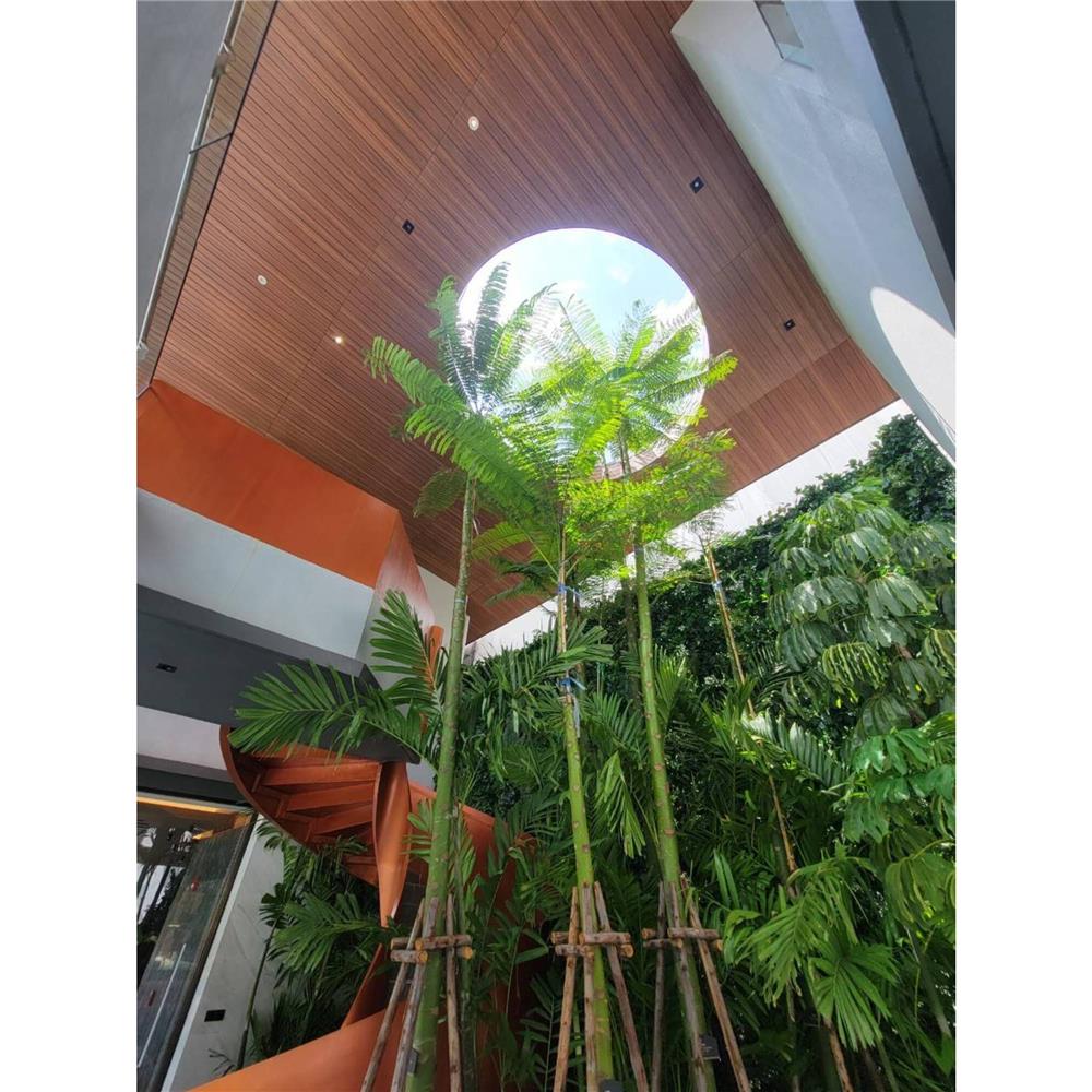 ไม้ระแนง ตกแต่งฝ้า CONWOOD 4 นิ้ว 10X300X1.1 ซม. สีขาวงาช้าง