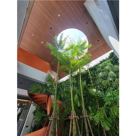 ไม้ระแนง ตกแต่งฝ้า CONWOOD 4 นิ้ว 10X300X1.1 ซม. สีขาวงาช้าง_3