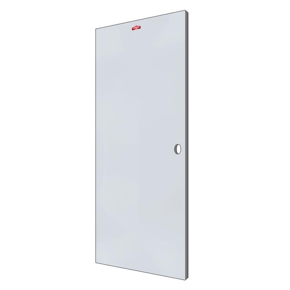 ประตูภายนอกเหล็ก เจาะลูกบิด PROFESSIONAL DOOR D1G 79.2x199.4 ซม. สีเทา
