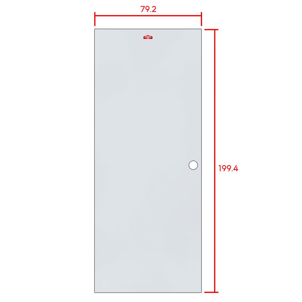 ประตูภายนอกเหล็ก เจาะลูกบิด PROFESSIONAL DOOR D1G 79.2x199.4 ซม. สีเทา