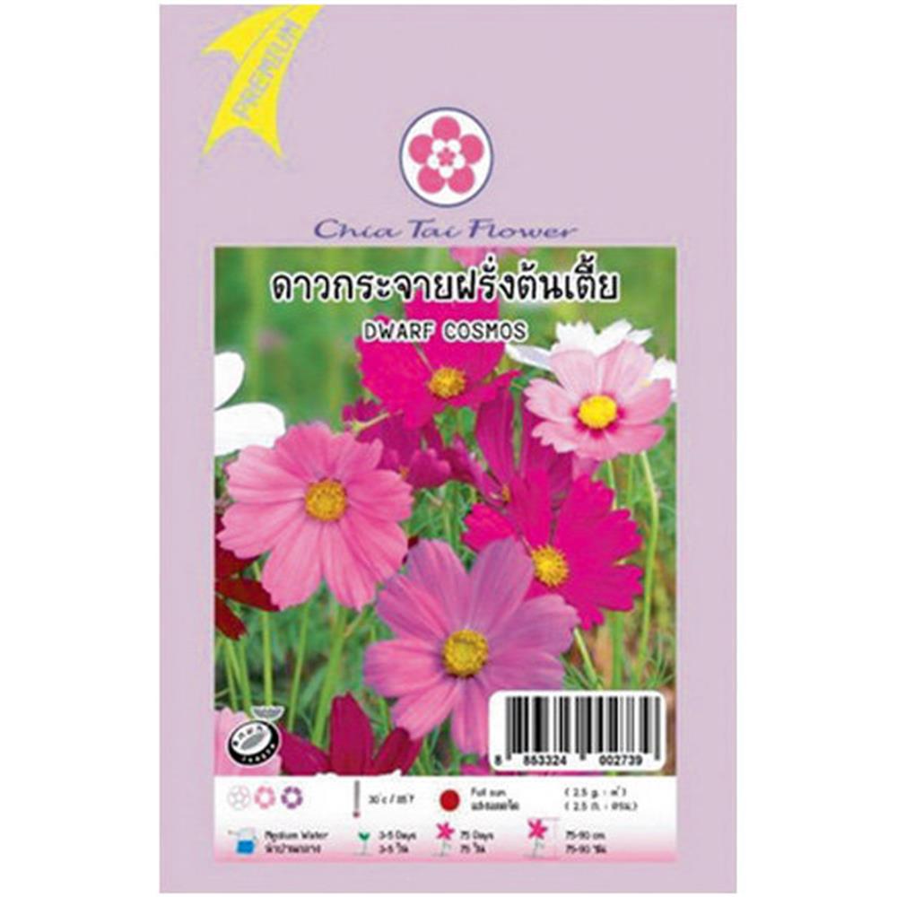 เมล็ดพันธุ์ดาวกระจายฝรั่งต้นเตี้ย ตราเจียไต๋