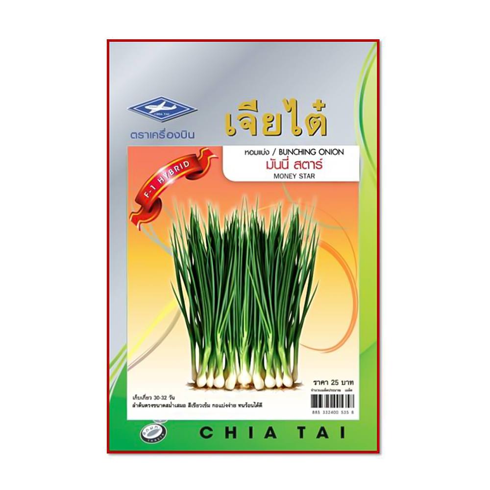 เมล็ดพันธุ์หอมแบ่งมันน์นี่สตาร์ ตราเจียไต๋