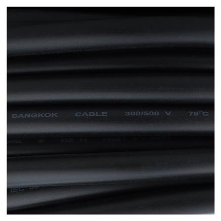 สายไฟ VCT IEC53 BCC 2x2.5 ตร.มม. 100 ม. สีดำ_1