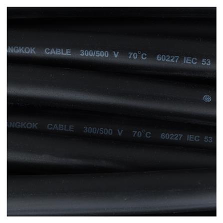 สายไฟ VCT IEC53 BCC 3x2.5 ตร.มม. 100 ม. สีดำ_1