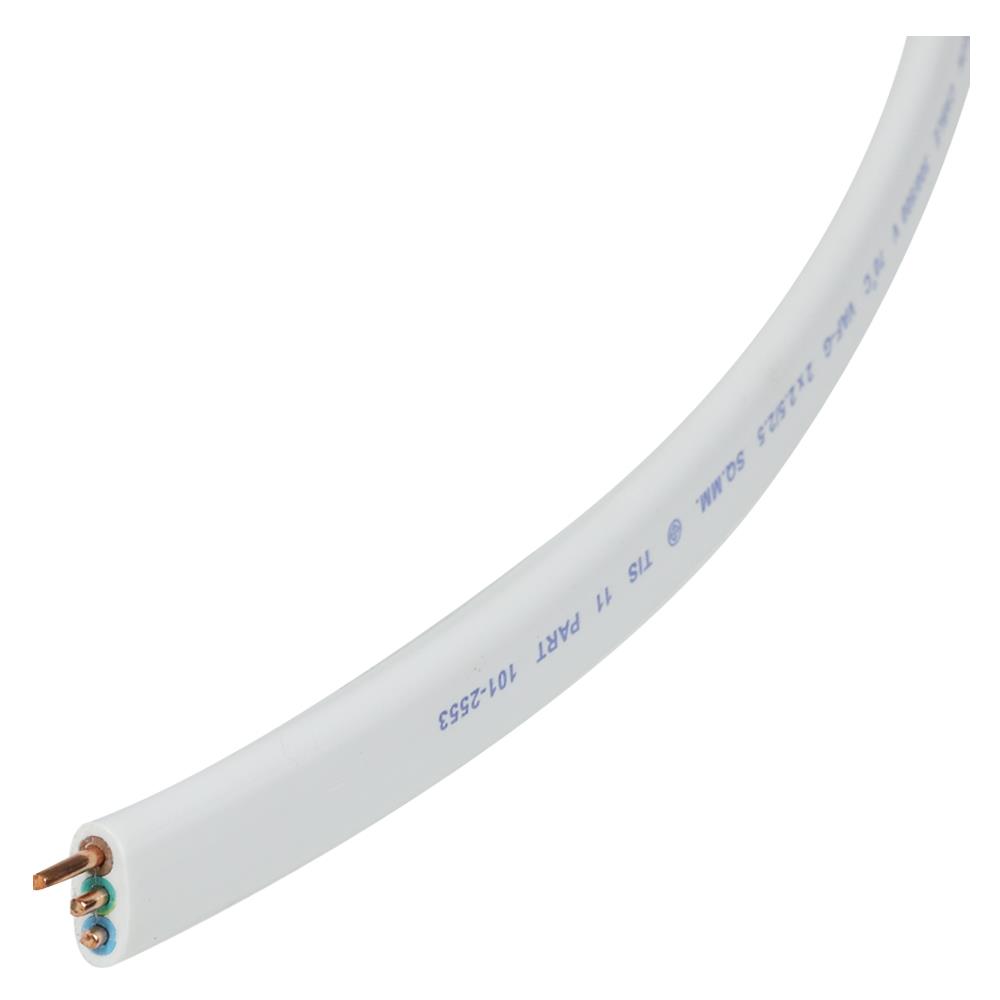 สายไฟ VAF-G BCC 2x2.5/2.5 ตร.มม. 100 ม. สีขาว