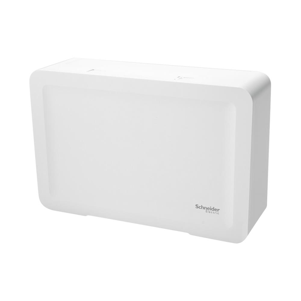 ตู้คอนซูมเมอร์ยูนิต 10 ช่อง SCHNEIDER SDEL110