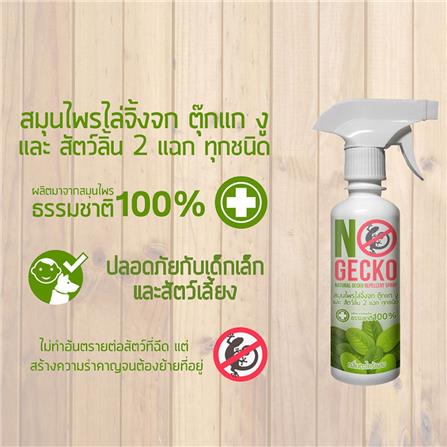 สเปรย์ไล่-ป้องกันจิ้งจก NOGECKO 200 มล._2