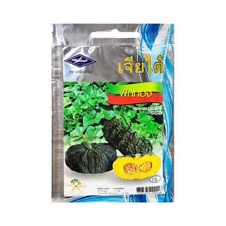 เมล็ดพันธุ์ฟักทอง ตราเจียไต๋_0