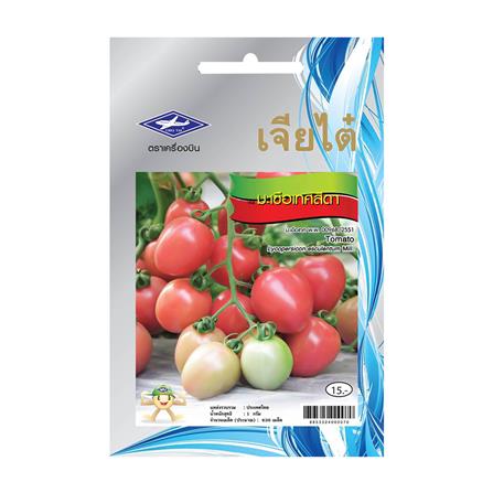 เมล็ดพันธุ์มะเขือเทศสีดา ตราเจียไต๋_0