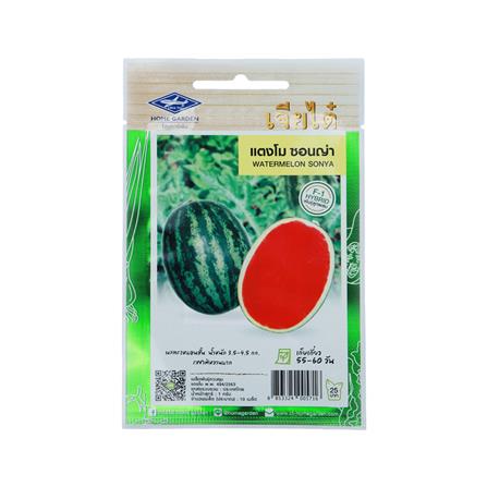 เมล็ดพันธุ์แตงโม ซอนญ่า ตราเจียไต๋_0