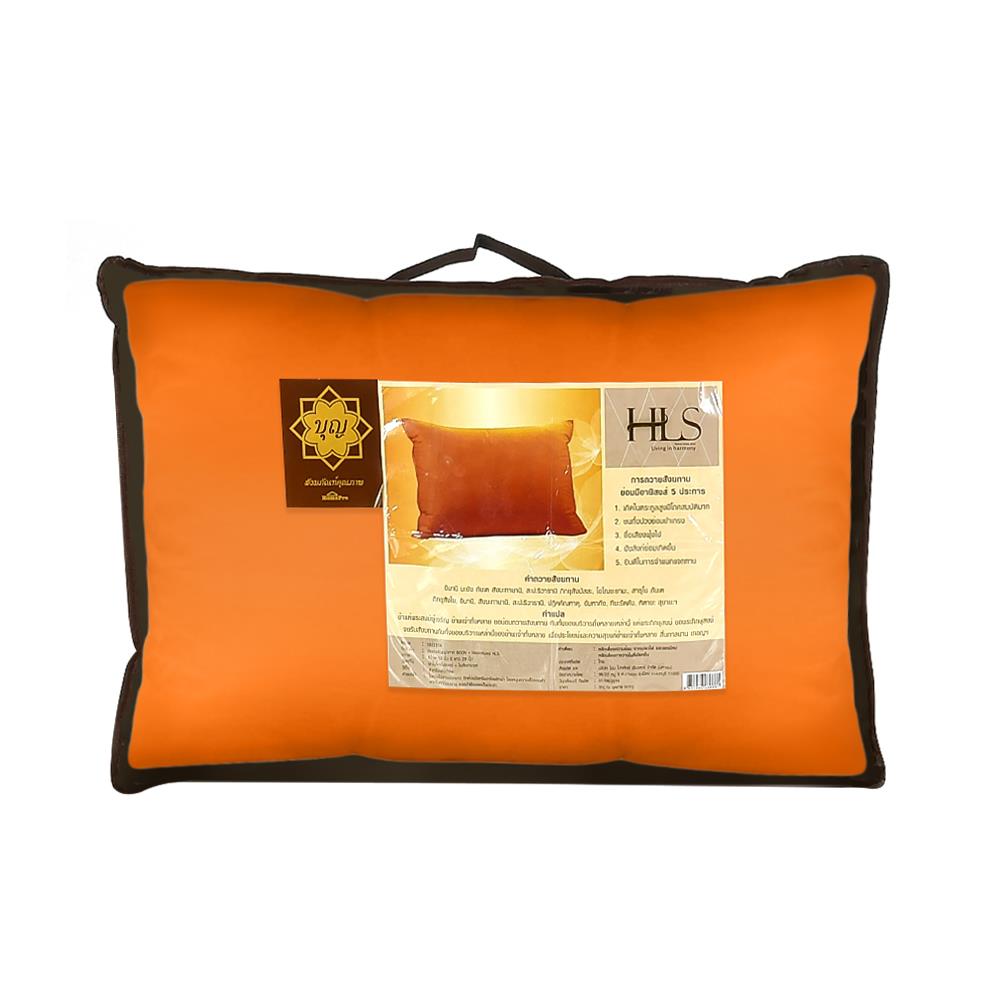 หมอนหนุนสุญญากาศ HLS BOON