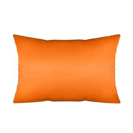 หมอนหนุนสุญญากาศ HLS BOON_1