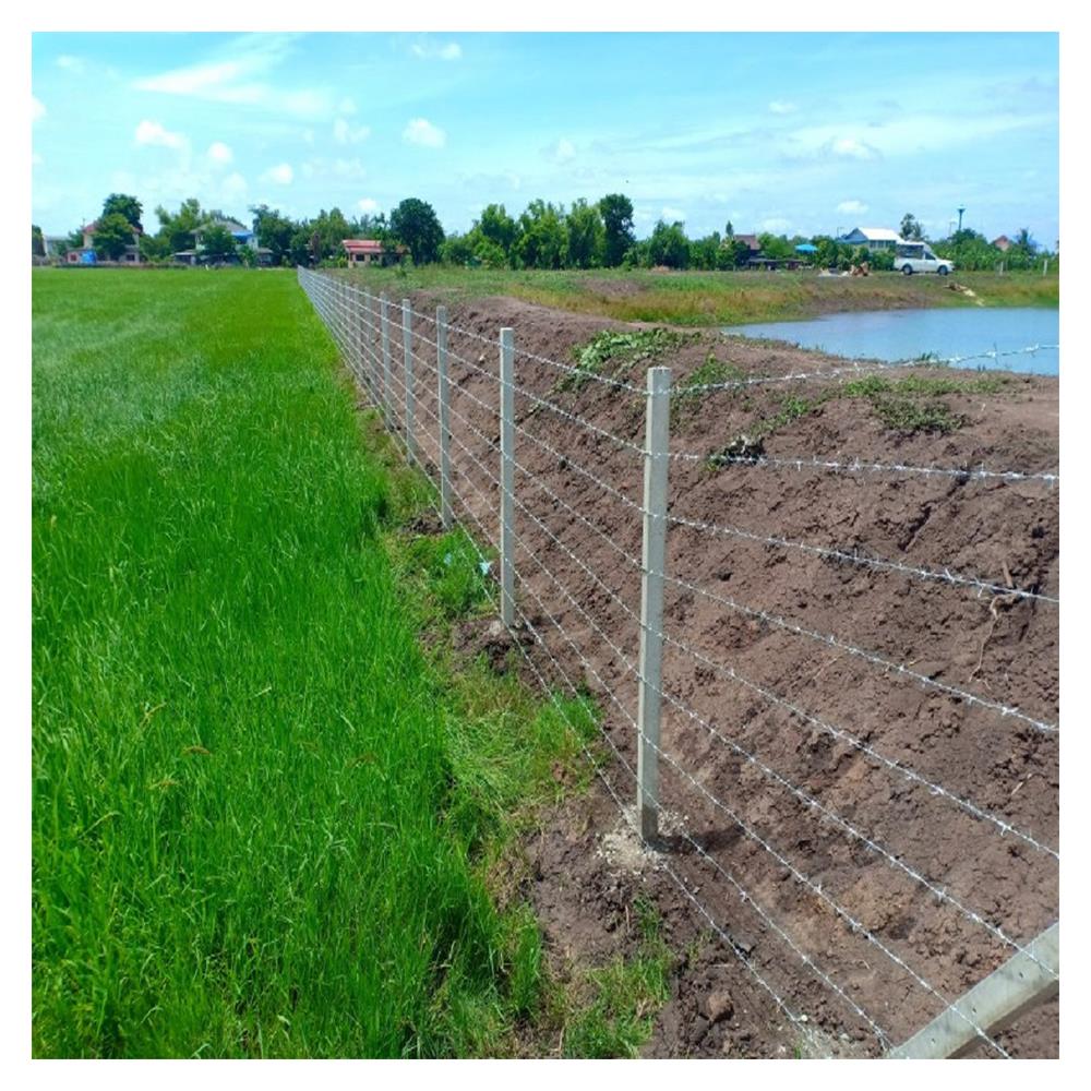 ลวดหนาม ONGROUND เบอร์ 15 45 ม. 5 กก.