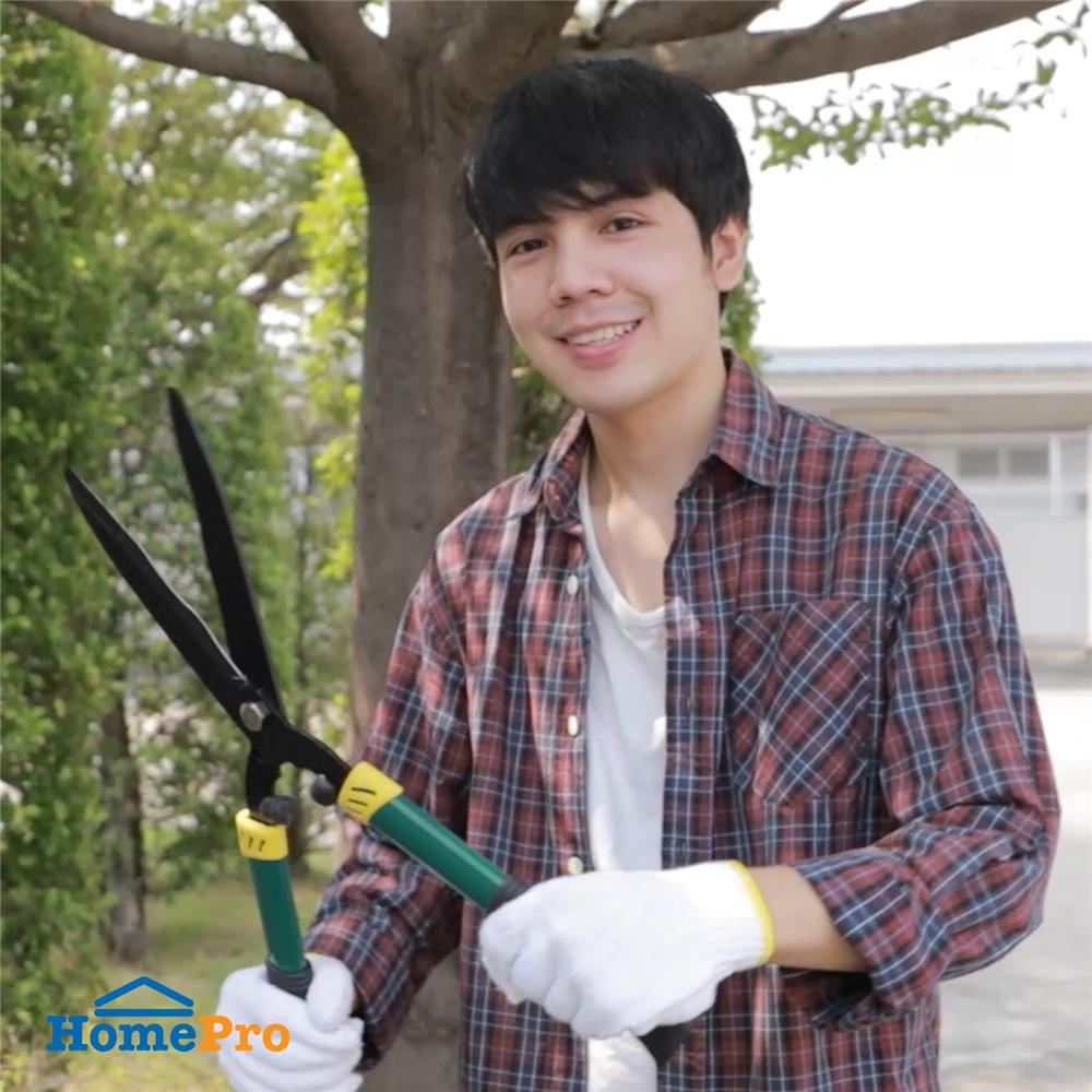 กรรไกรตัดหญ้าปากหยัก SPRING 19 ซม.