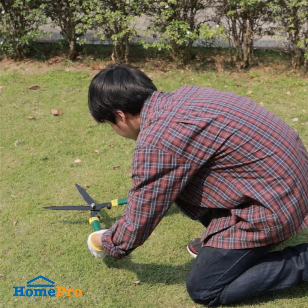 กรรไกรตัดหญ้าปากหยัก SPRING 19 ซม.