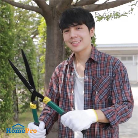 กรรไกรตัดหญ้าปากหยัก SPRING 19 ซม._4