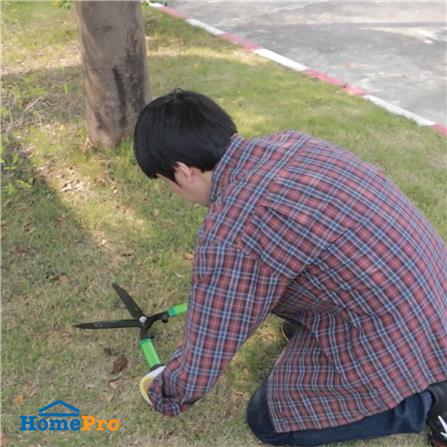 กรรไกรตัดหญ้าปากตรง SPRING 19 ซม._5